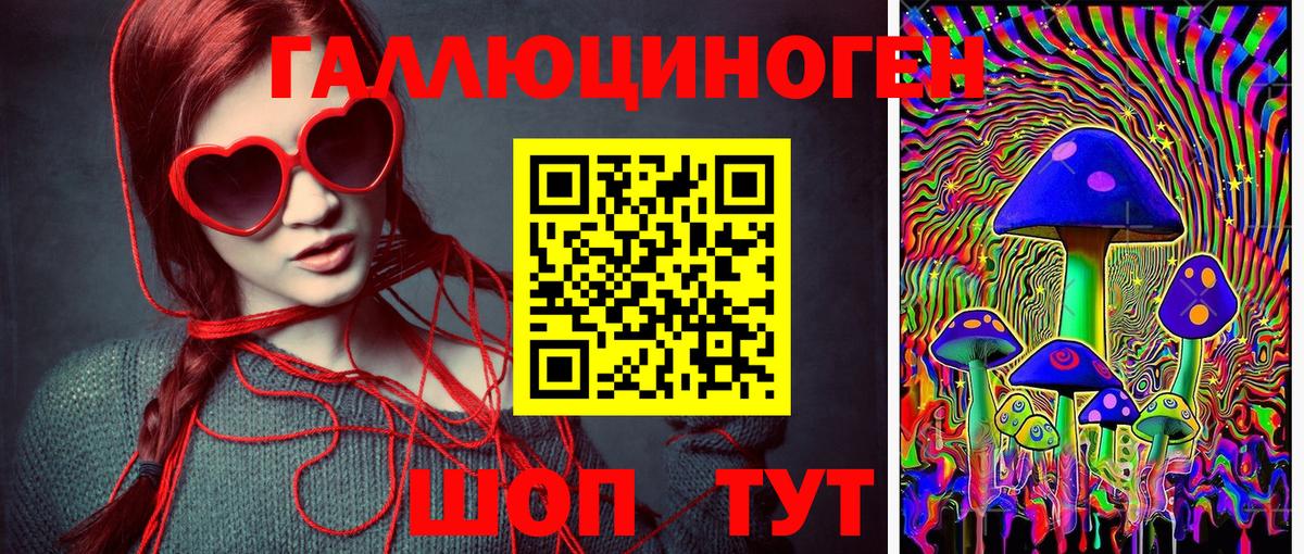 Псилоцибиновые грибы ЛСД  Вход с VPN  Артём  Галлюциногенные грибы прущие грибы 