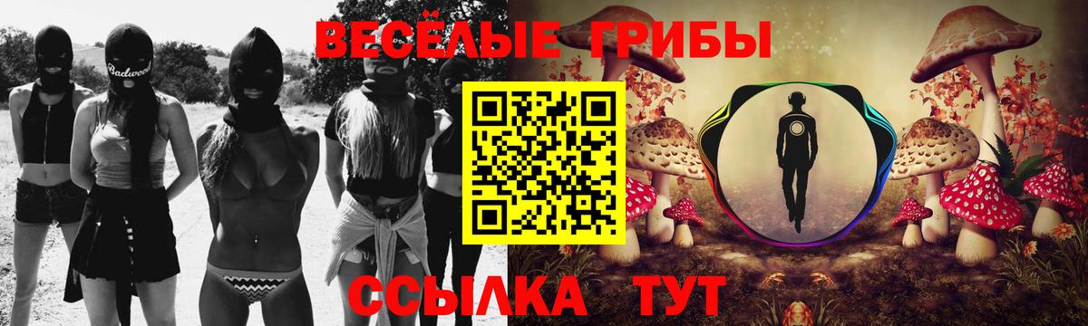 Галлюциногенные грибы GOLDEN TEACHER Артём